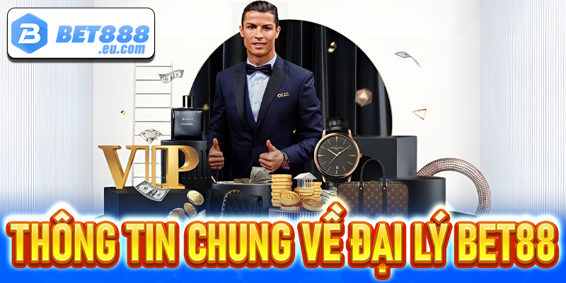 Một vài thông tin chung về hệ thống đại lý Bet88 