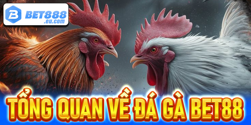 Thông tin tổng quát về nền tảng đá gà Bet88