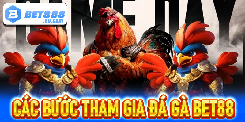 Chia sẻ các bước đơn giản để tham gia cá cược tại đá gà Bet88